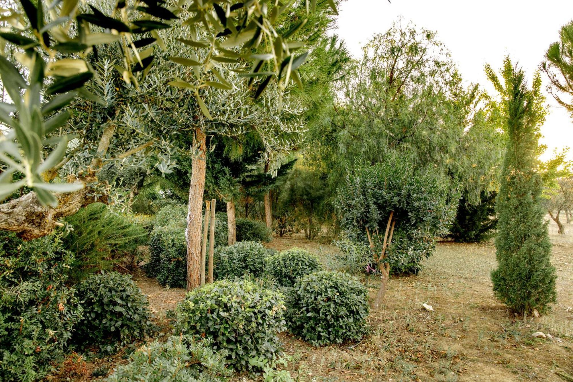 Villa Monte Da Hortinha à Estremoz Extérieur photo